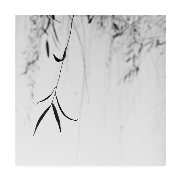 Trademark Fine Art 'Willow Print No. 1' Canvas Art by Nicholas Bel