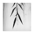 thumbnail image 1 of Trademark Fine Art 'Willow Print No. 2' Canvas Art by Nicholas Bel, 1 of 3