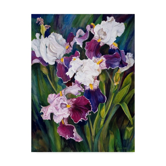 Trademark Fine Art 'Wind Blown Iris' Canvas Art by Joanne Porter