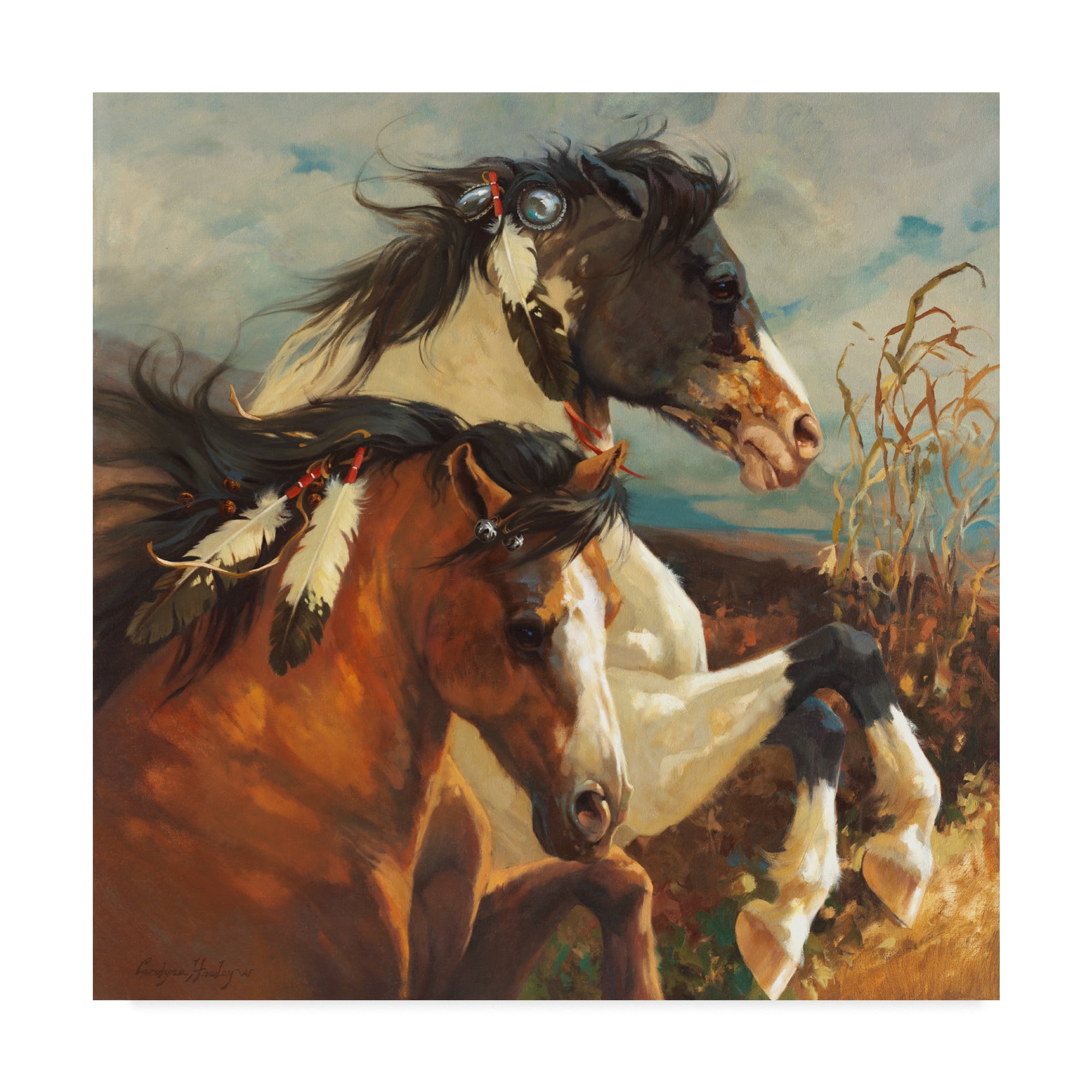 Trademark Fine Art 'Wind Voyager' Canvas Art by Carolyne Hawley
