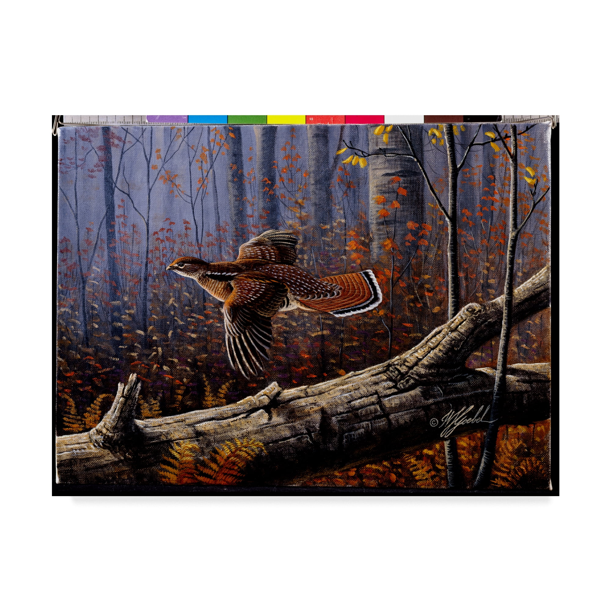 Windfall Glider Ruffed Grouse 18x24 Wood Framed Canvas Art