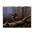 thumbnail image 1 of Trademark Fine Art 'Windfall Glider Ruffed Grouse' Canvas Art by Wilhelm Goebel, 1 of 3