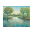 thumbnail image 1 of Trademark Fine Art 'Winding River II' Canvas Art by Tim O'Toole, 1 of 3
