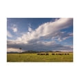 thumbnail image 1 of Trademark Fine Art 'Windmill 6' Canvas Art by Dan Ballard, 1 of 3
