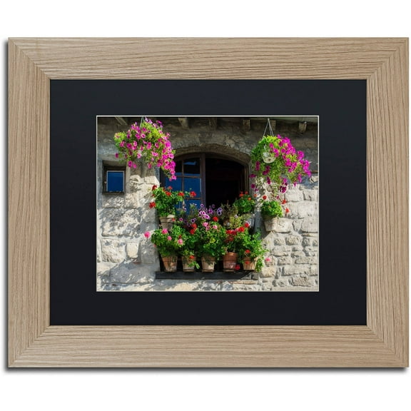 Trademark Fine Art "Window Dressing" Canvas Art by Michael Blanchette Photography Black Matte, Birch Frame