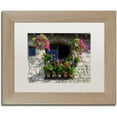thumbnail image 1 of Trademark Fine Art "Window Dressing" Canvas Art by Michael Blanchette Photography White Matte, Birch Frame, 1 of 4