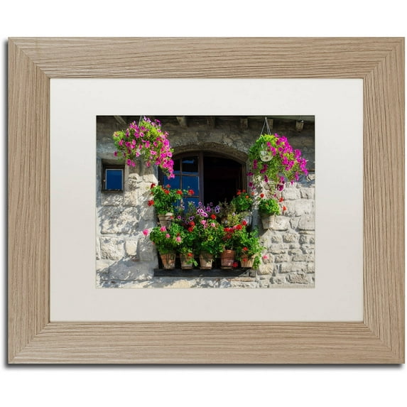 Trademark Fine Art "Window Dressing" Canvas Art by Michael Blanchette Photography White Matte, Birch Frame