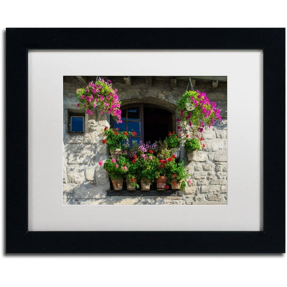 Trademark Fine Art "Window Dressing" Canvas Art by Michael Blanchette Photography White Matte, Black Frame