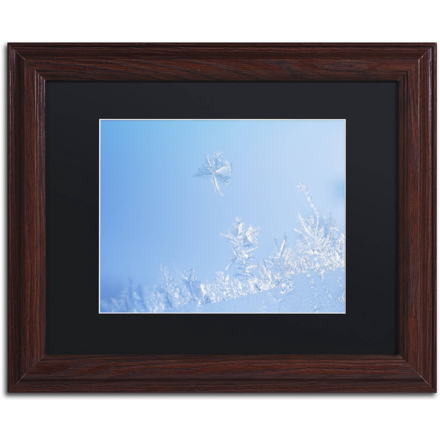 Trademark Fine Art "Window Frost" Canvas Art by Kurt Shaffer Black Mat, Wood Frame
