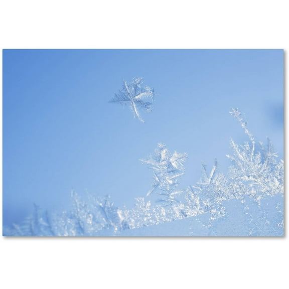 Trademark Fine Art "Window Frost" Canvas Art by Kurt Shaffer