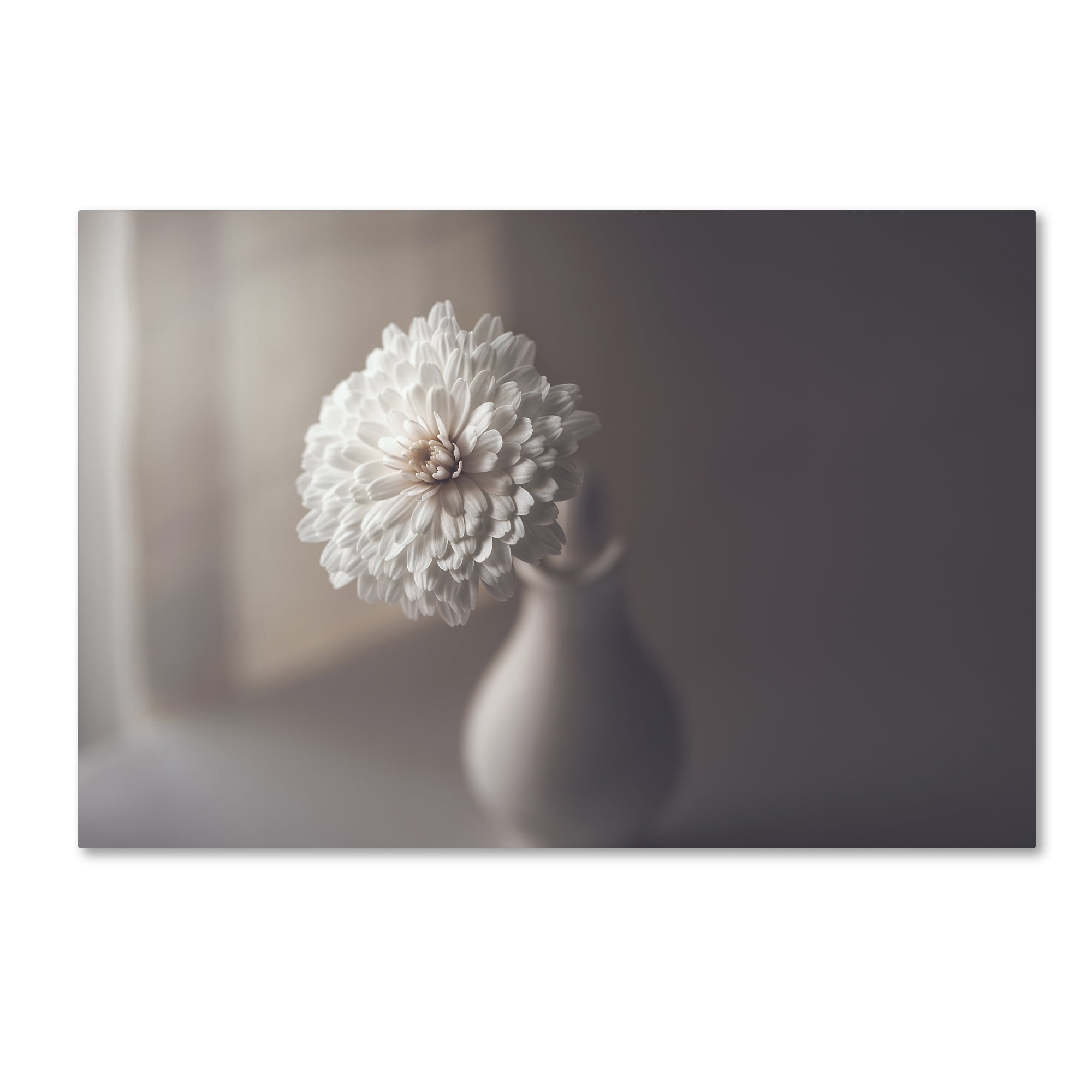 Trademark Fine Art 'Window Light' Canvas Art by Jose Antonio Sánchez
