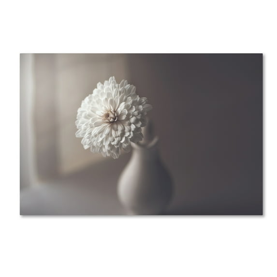 Trademark Fine Art 'Window Light' Canvas Art by Jose Antonio Sánchez