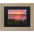 thumbnail image 1 of Trademark Fine Art "Windy Marsh" Canvas Art by Michael Blanchette Photography Black Matte, Birch Frame, 1 of 1