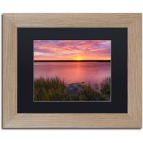 Trademark Fine Art "Windy Marsh" Canvas Art by Michael Blanchette Photography Black Matte, Birch Frame