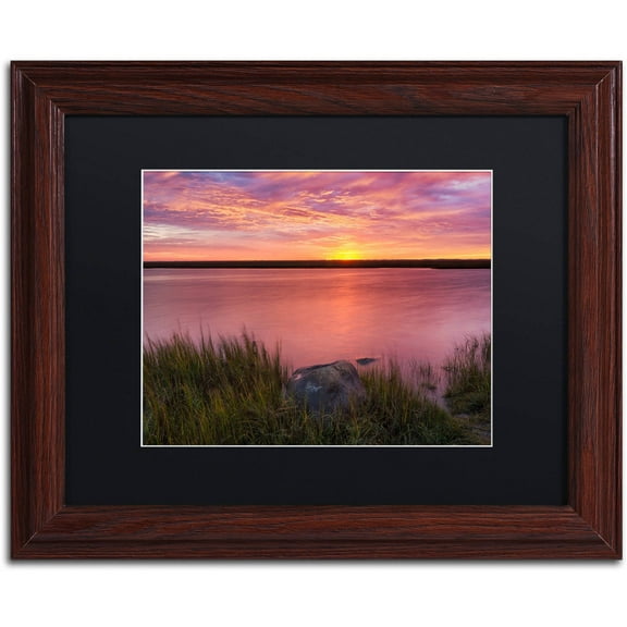 Trademark Fine Art "Windy Marsh" Canvas Art by Michael Blanchette Photography Black Matte, Wood Frame