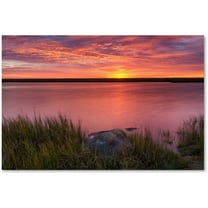 Trademark Fine Art "Windy Marsh" Canvas Art by Michael Blanchette Photography