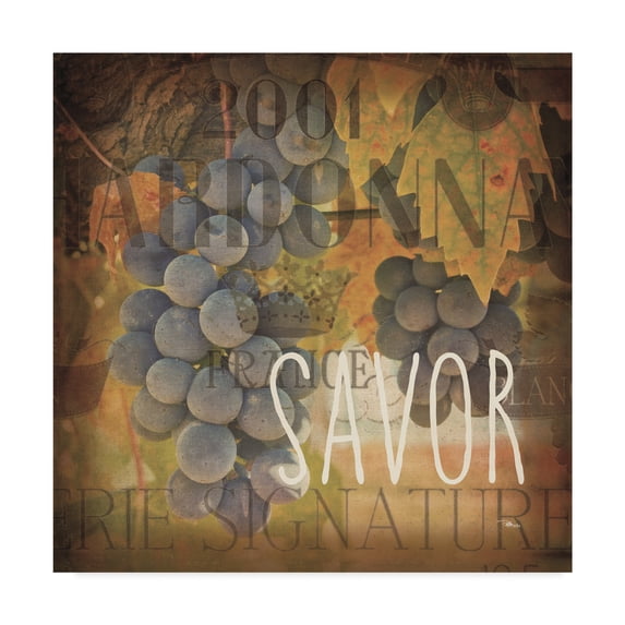 Trademark Fine Art 'Wine Collage IV' Canvas Art by Pela Studio