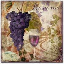Trademark Fine Art "Wine Country III" Canvas Art by Color Bakery