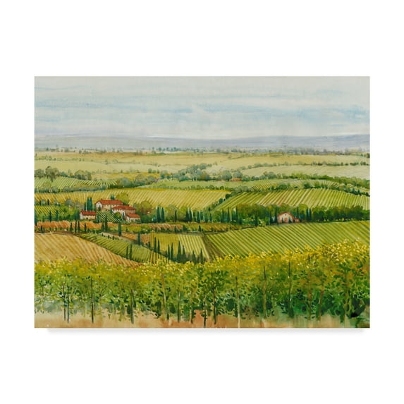 Trademark Fine Art 'Wine Country View I' Canvas Art by Tim OToole