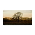 thumbnail image 1 of Trademark Fine Art 'Wine Country Winter' Canvas Art by Lance Kuehne, 1 of 3