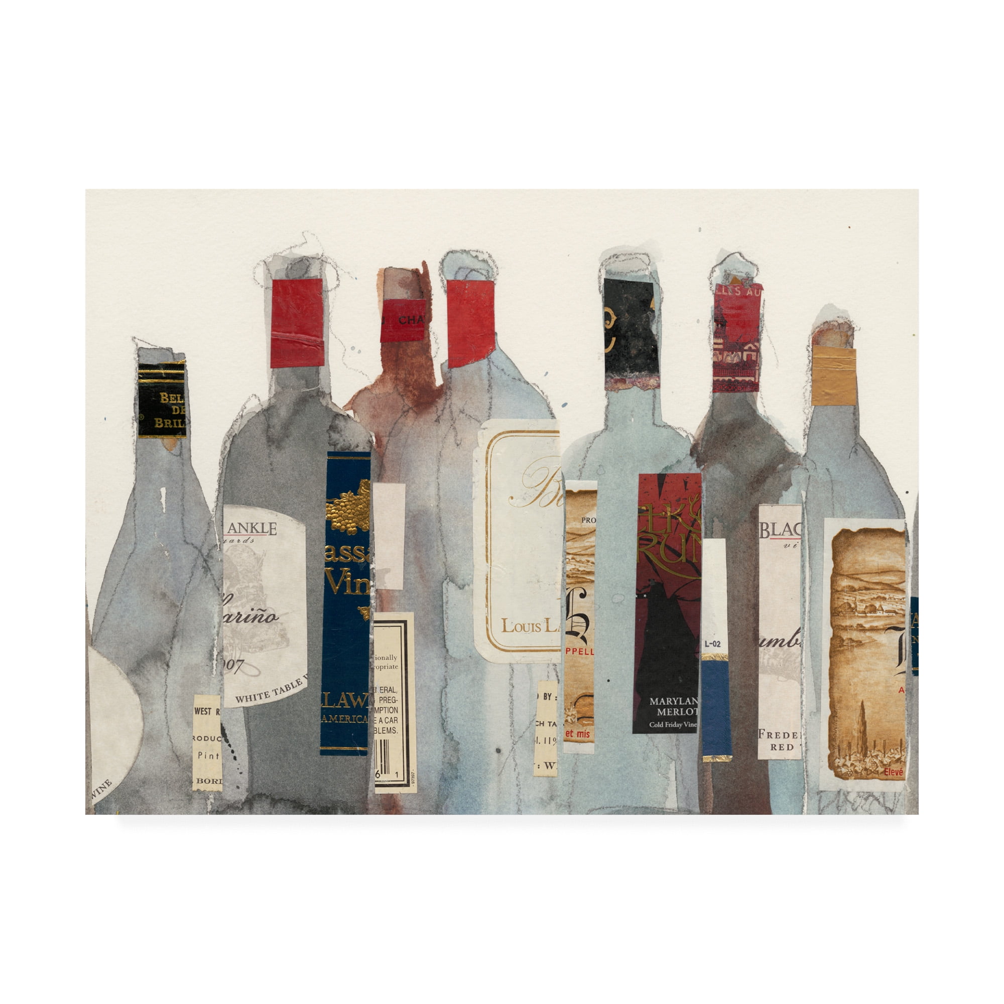 Trademark Fine Art 'Wine & Spirit I' Canvas Art by Samuel Dixon
