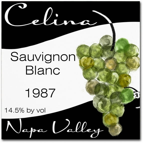 Trademark Fine Art "Wine Valley One" Canvas Art by Color Bakery