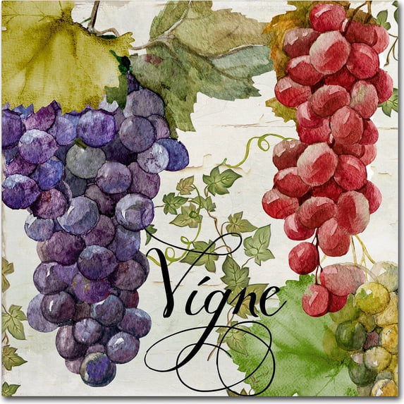 Trademark Fine Art "Wines of Paris I" Canvas Art by Color Bakery