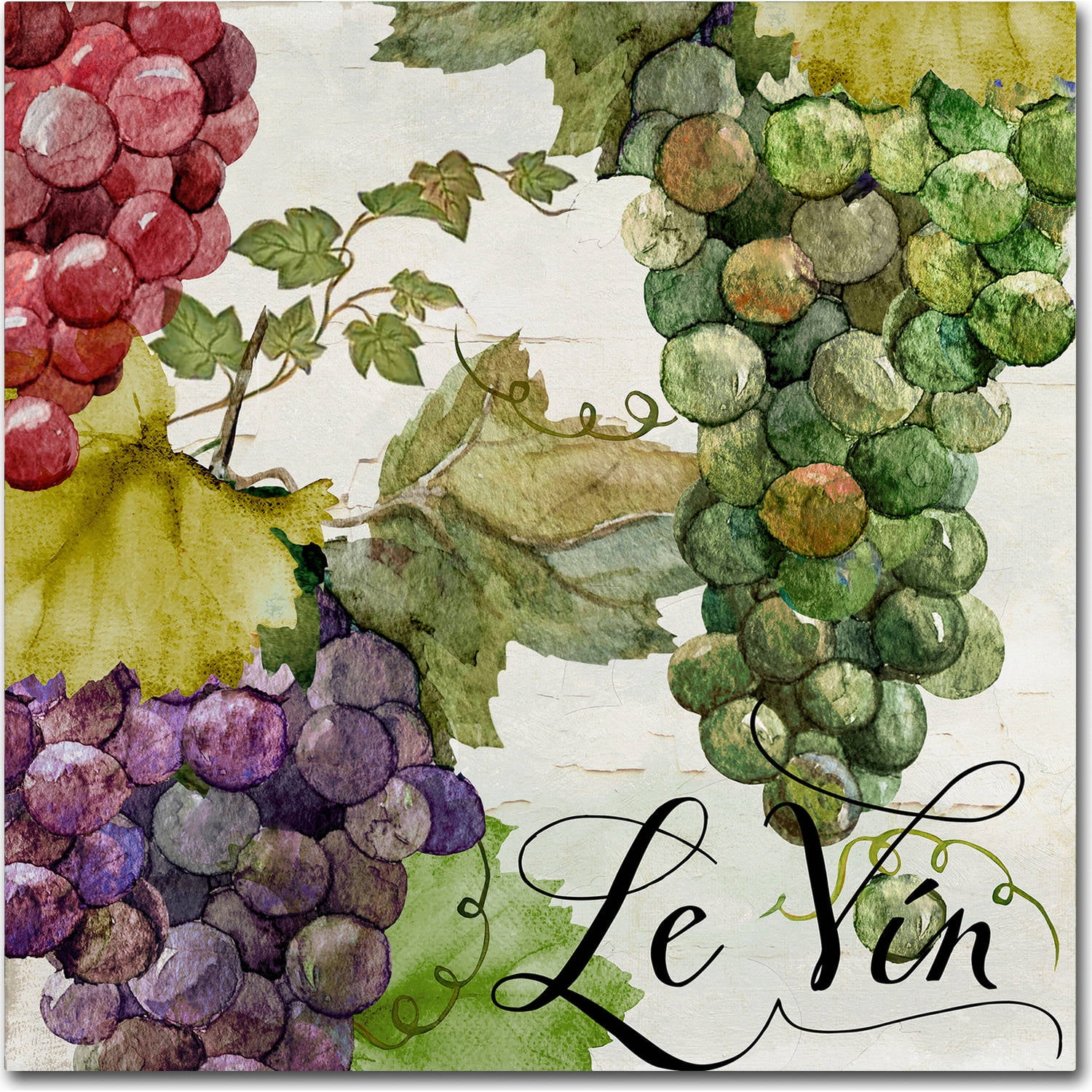 Small Colorful Grapes Canvas Art with French Text