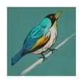 thumbnail image 1 of Trademark Fine Art 'Winged Sketch II on Teal' Canvas Art by Chariklia Zarris, 1 of 4