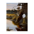thumbnail image 1 of Trademark Fine Art 'Wings Of Autumn Bald Eagle' Canvas Art by Wilhelm Goebel, 1 of 3
