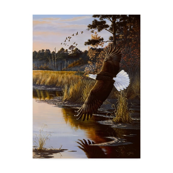 Trademark Fine Art 'Wings Of Autumn Bald Eagle' Canvas Art by Wilhelm Goebel