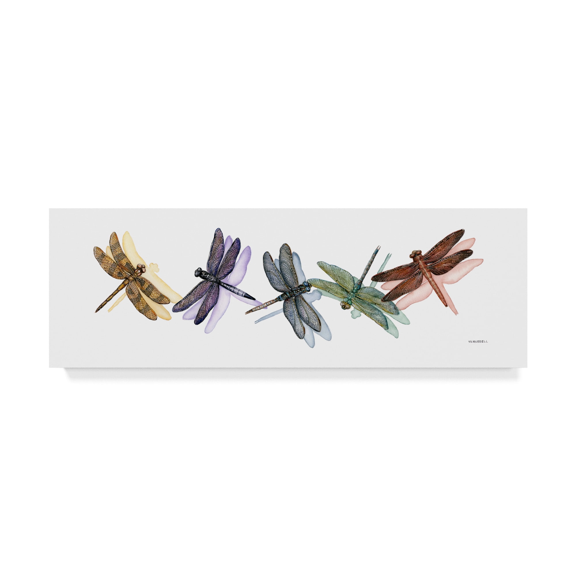 Trademark Fine Art 'Wings of Splendor II' Canvas Art by Wendy Russell