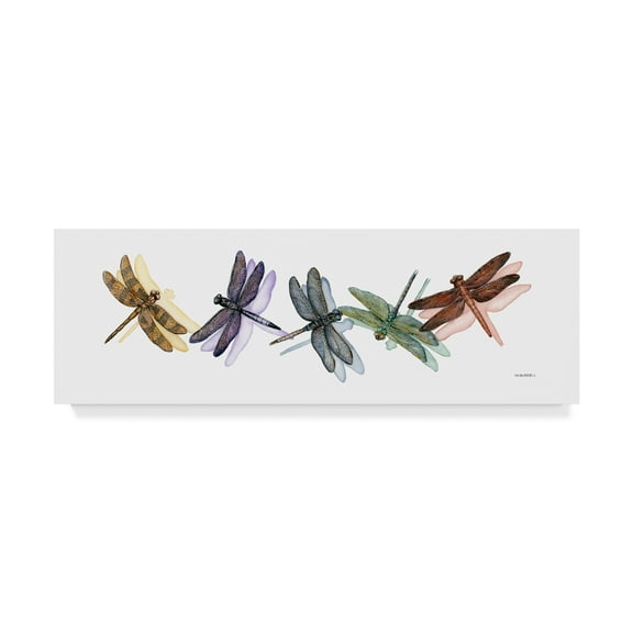 Trademark Fine Art 'Wings of Splendor II' Canvas Art by Wendy Russell