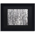thumbnail image 1 of Trademark Fine Art "Winter Aspens" Canvas Art by Roderick Stevens Black Mat, Black Frame, 1 of 4
