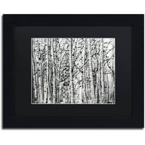 Trademark Fine Art "Winter Aspens" Canvas Art by Roderick Stevens Black Mat, Black Frame