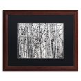 thumbnail image 1 of Trademark Fine Art "Winter Aspens" Canvas Art by Roderick Stevens Black Mat, Wood Frame, 1 of 3