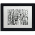 thumbnail image 1 of Trademark Fine Art "Winter Aspens" Canvas Art by Roderick Stevens White Mat, Black Frame, 1 of 5