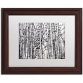 thumbnail image 1 of Trademark Fine Art "Winter Aspens" Canvas Art by Roderick Stevens White Mat, Wood Frame, 1 of 5