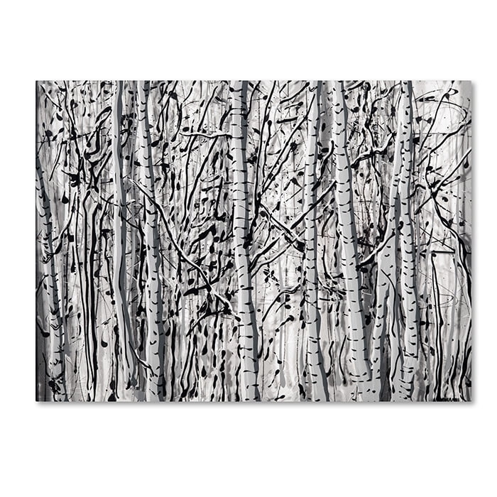 Trademark Fine Art "Winter Aspens" Canvas Art by Roderick Stevens