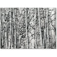 thumbnail image 1 of Trademark Fine Art "Winter Aspens" Canvas Art by Roderick Stevens, 1 of 1