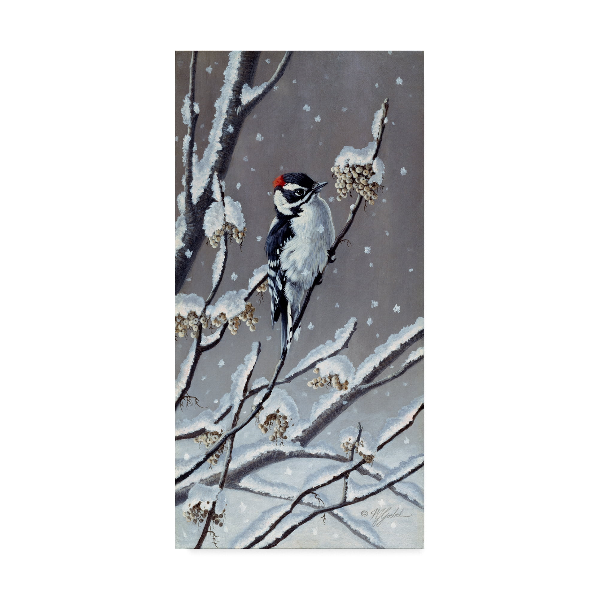 Trademark Fine Art 'Winter Berries' Canvas Art by Wilhelm Goebel