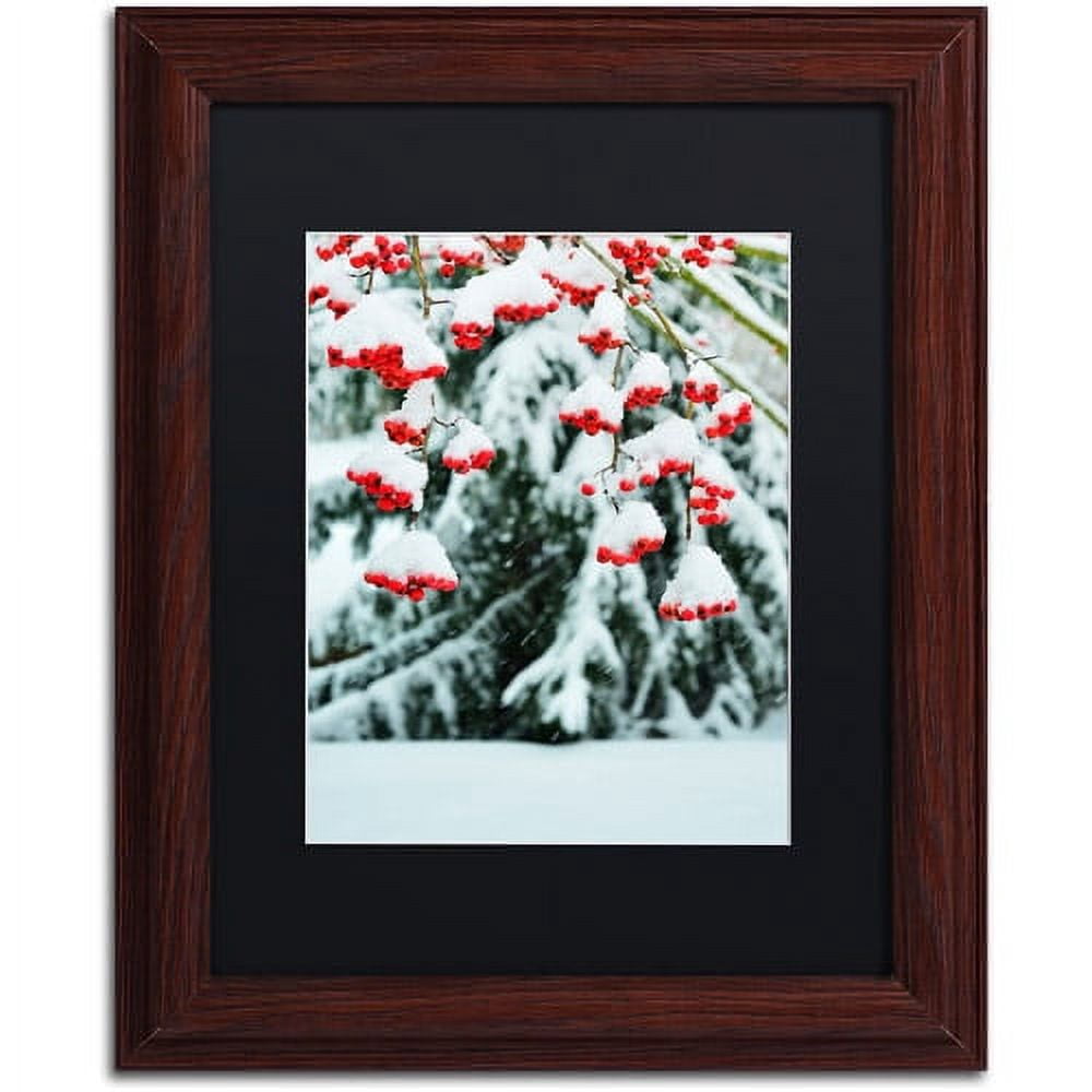 Trademark Fine Art "Winter Berries and Pine" Canvas Art by Kurt Shaffer Black Matte, Wood Frame