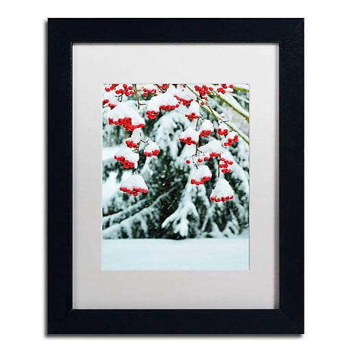 Trademark Fine Art "Winter Berries and Pine" Canvas Art by Kurt Shaffer White Matte, Black Frame