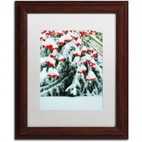 Trademark Fine Art "Winter Berries and Pine" Canvas Art by Kurt Shaffer White Matte, Wood Frame