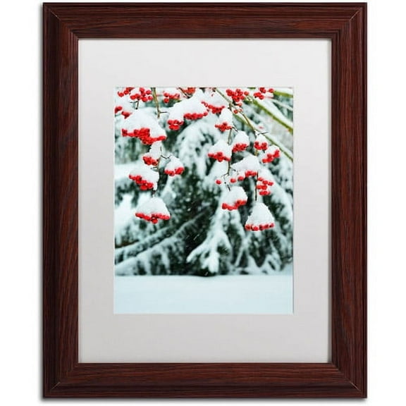 Trademark Fine Art "Winter Berries and Pine" Canvas Art by Kurt Shaffer White Matte, Wood Frame