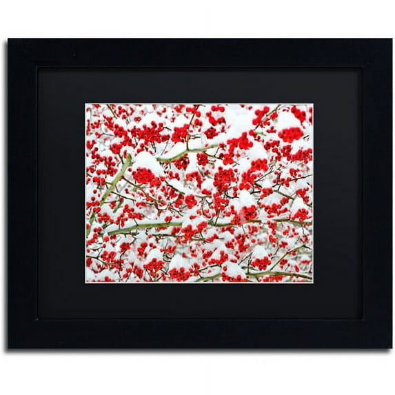 Trademark Fine Art "Winter Berries in the Snow" Canvas Art by Kurt Shaffer Black Matte, Black Frame