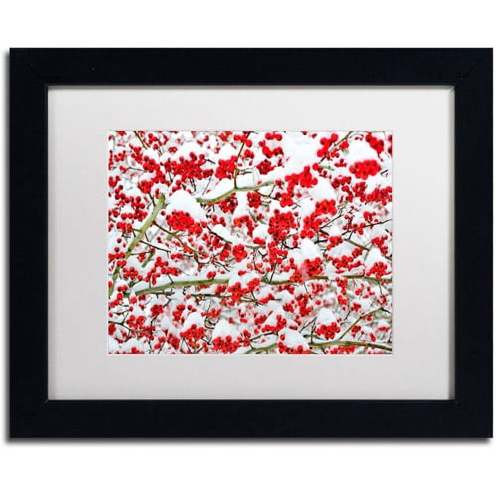 Trademark Fine Art "Winter Berries in the Snow" Canvas Art by Kurt Shaffer White Matte, Black Frame