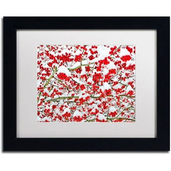 Trademark Fine Art "Winter Berries in the Snow" Canvas Art by Kurt Shaffer White Matte, Black Frame