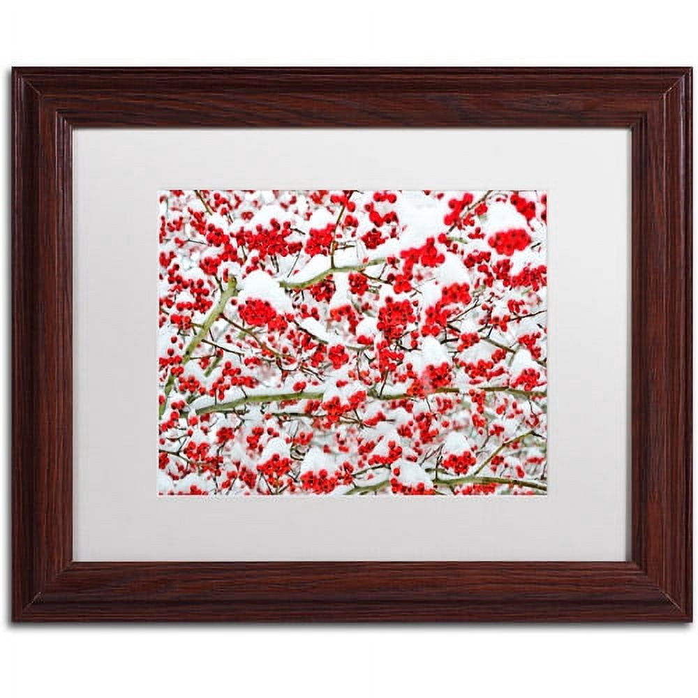 Trademark Fine Art "Winter Berries in the Snow" Canvas Art by Kurt Shaffer White Matte, Wood Frame