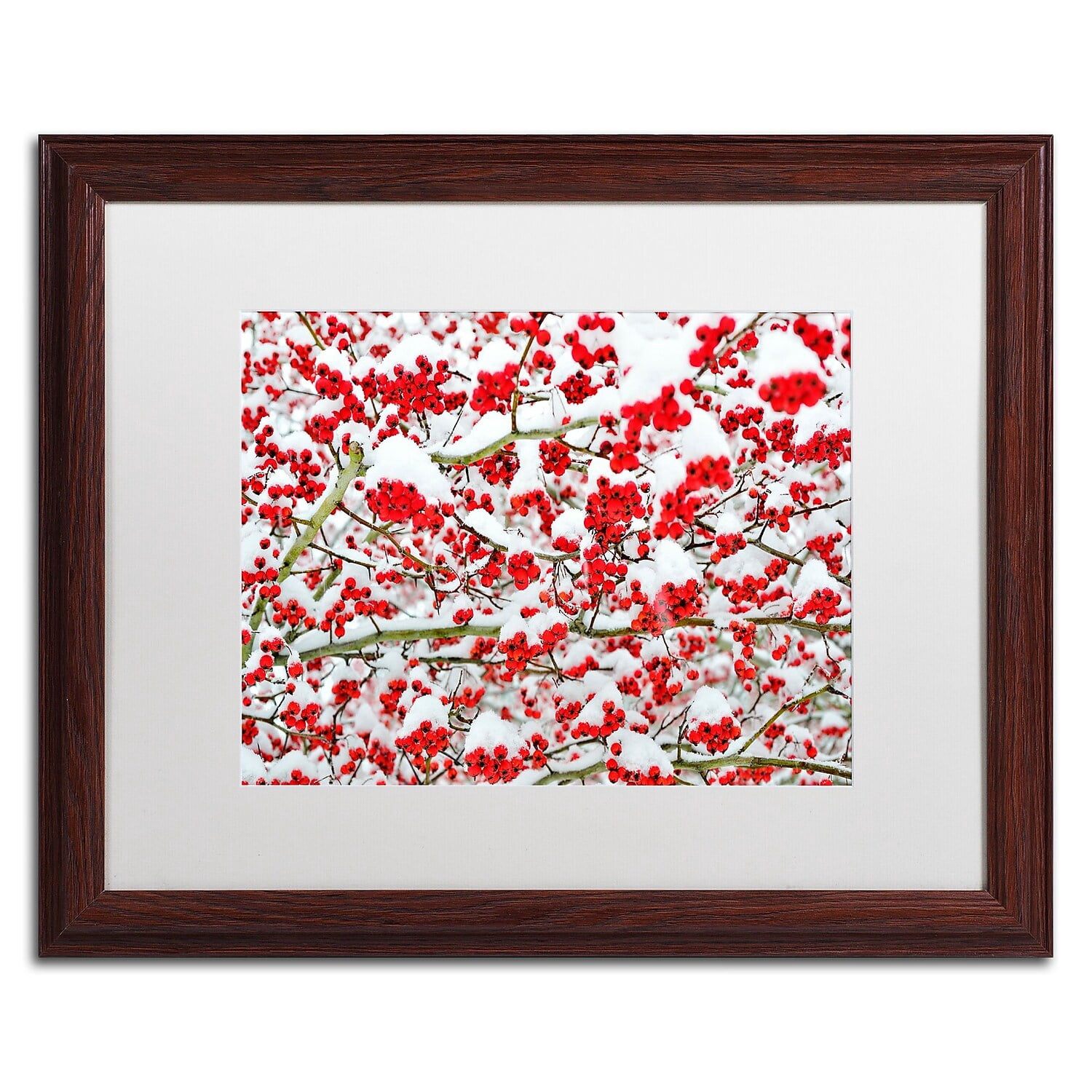 Trademark Fine Art "Winter Berries in the Snow" Canvas Art by Kurt Shaffer White Matte, Wood Frame